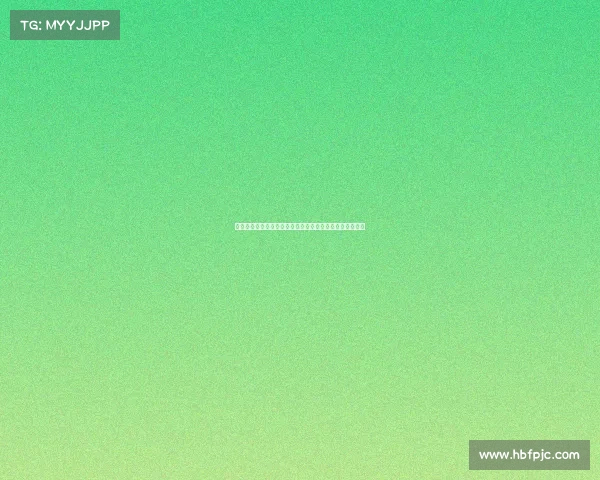 英超联赛中非洲杯球员表现分析及其对球队影响的深度探讨